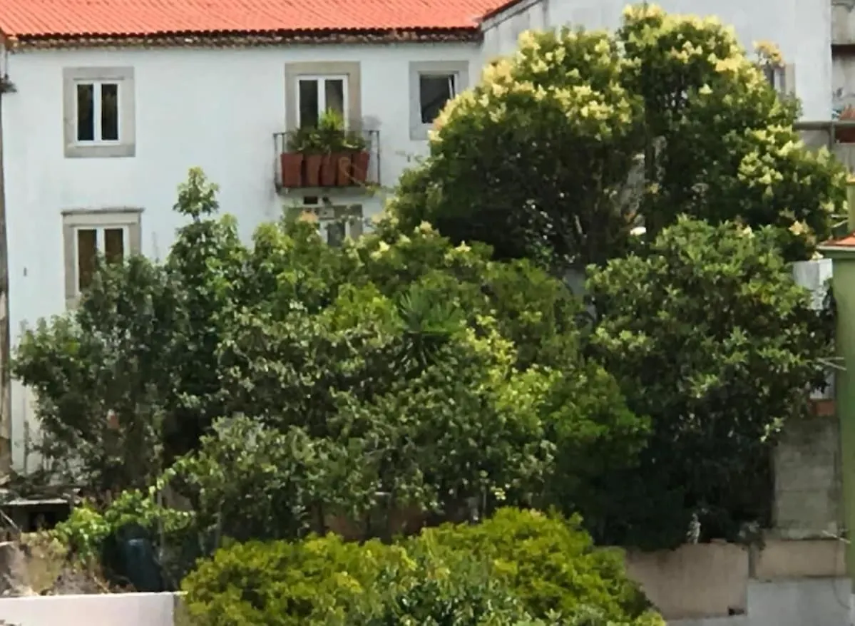 Cozy Apartment - City Center, Sunny And Pratical Lissabon
